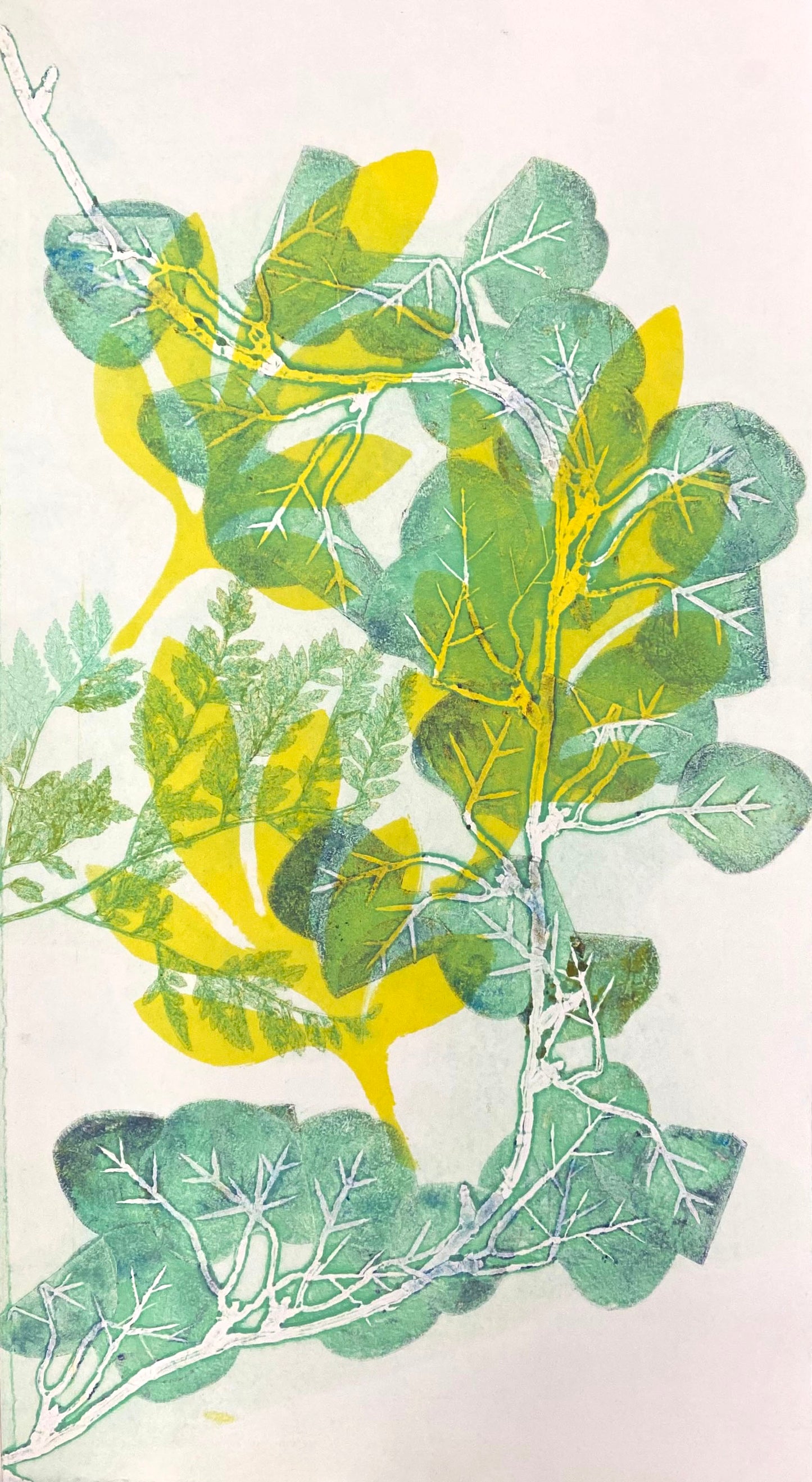 Tea Thyme