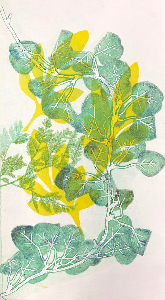 Tea Thyme