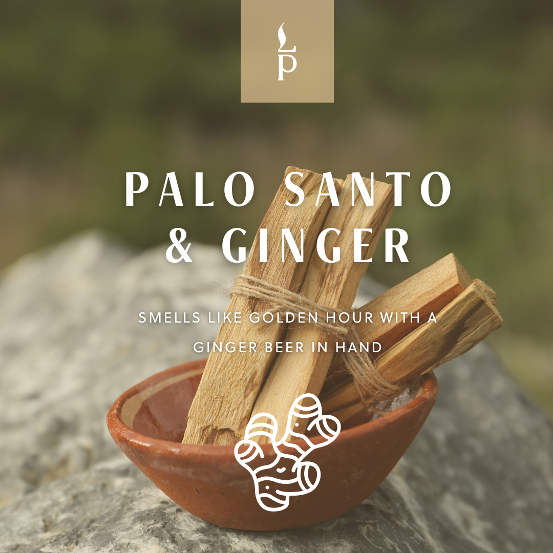Light Provisions - 4.75 oz Palo Santo & Ginger