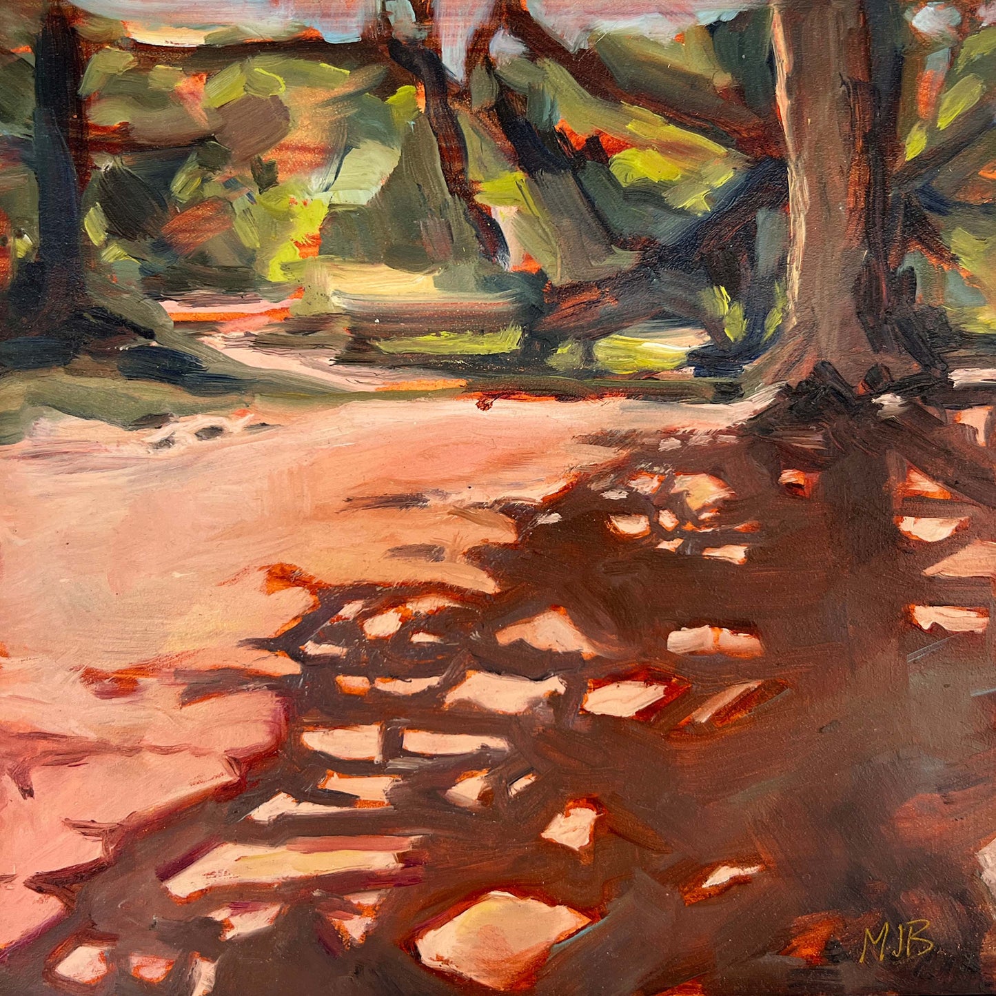 Introspective Shadows