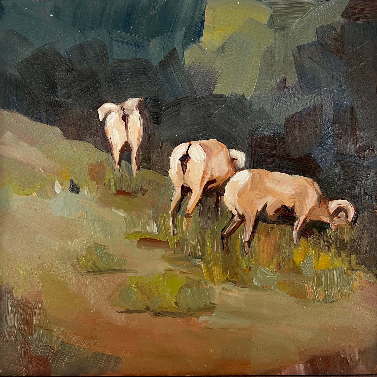 Lingering Sheep