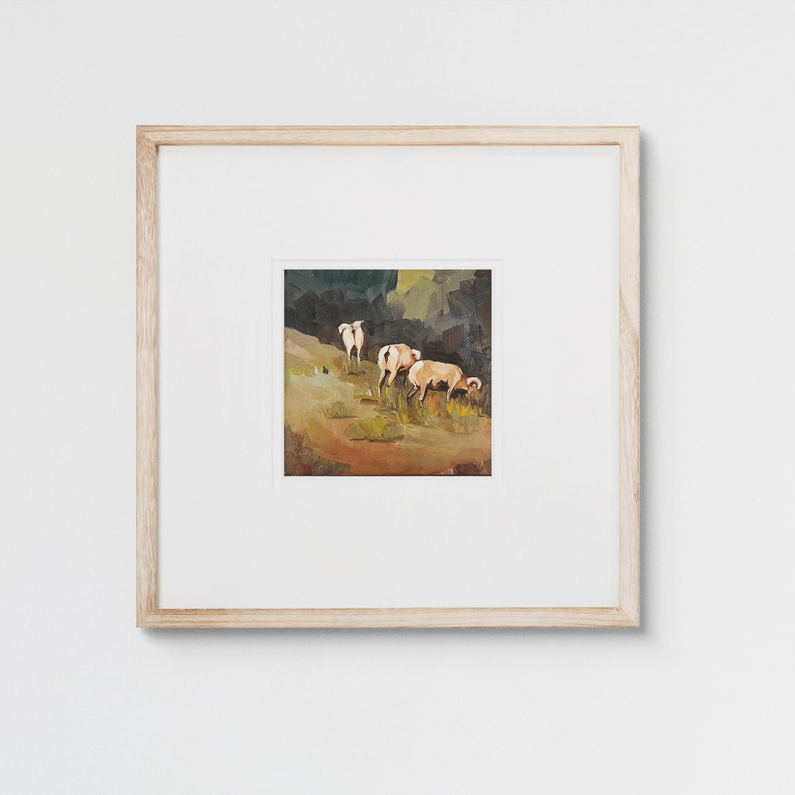 Lingering Sheep