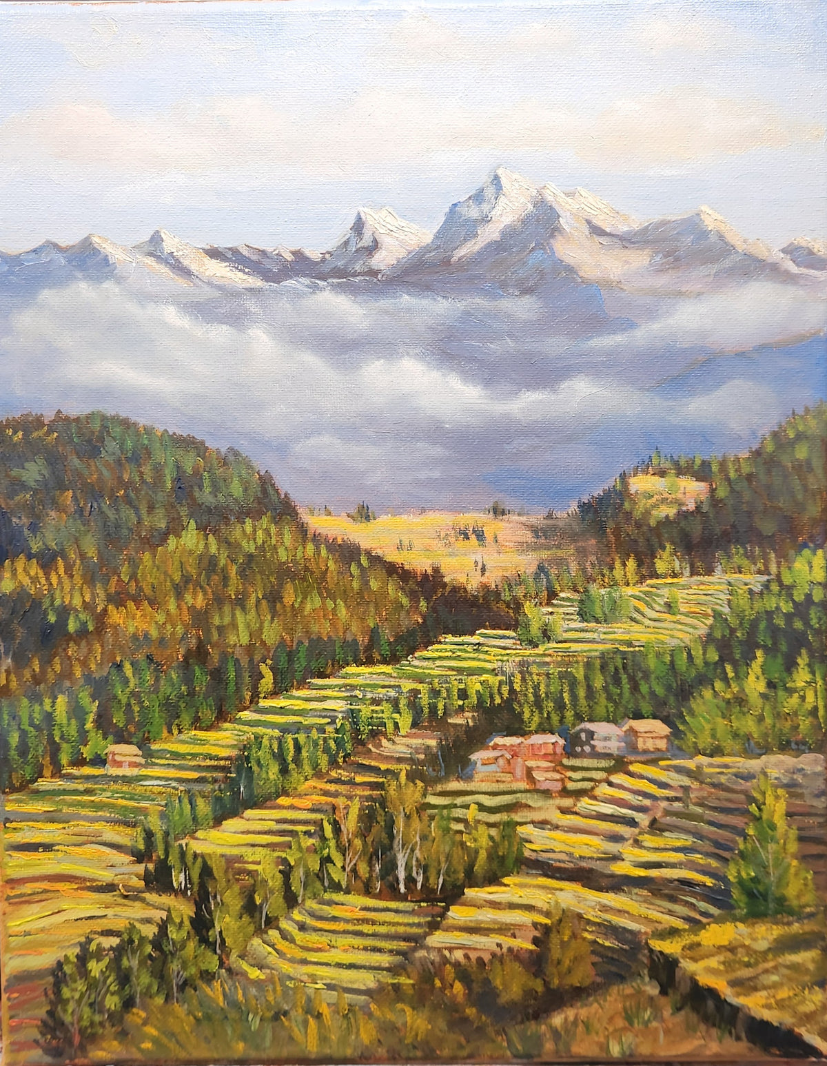Himalayan Terrace Farming