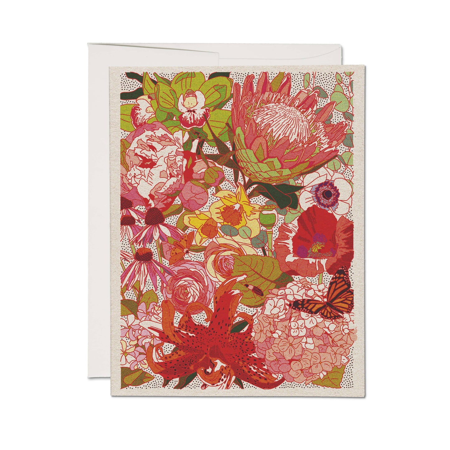 Red Cap Cards - Wild Florals greeting card: Boxed Set of 8