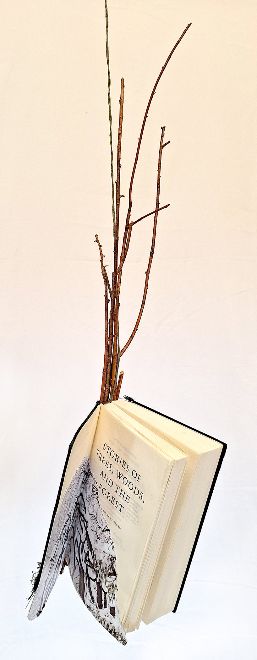 An Altered Book Story