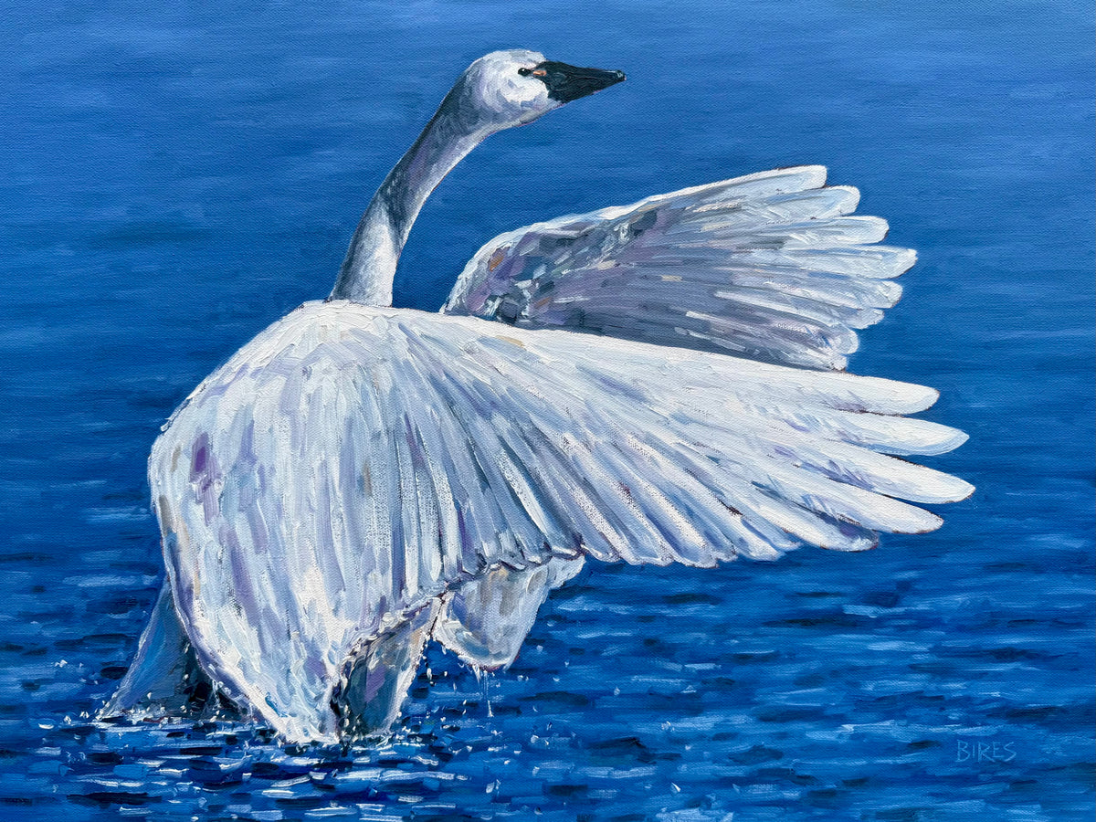 Swan Song