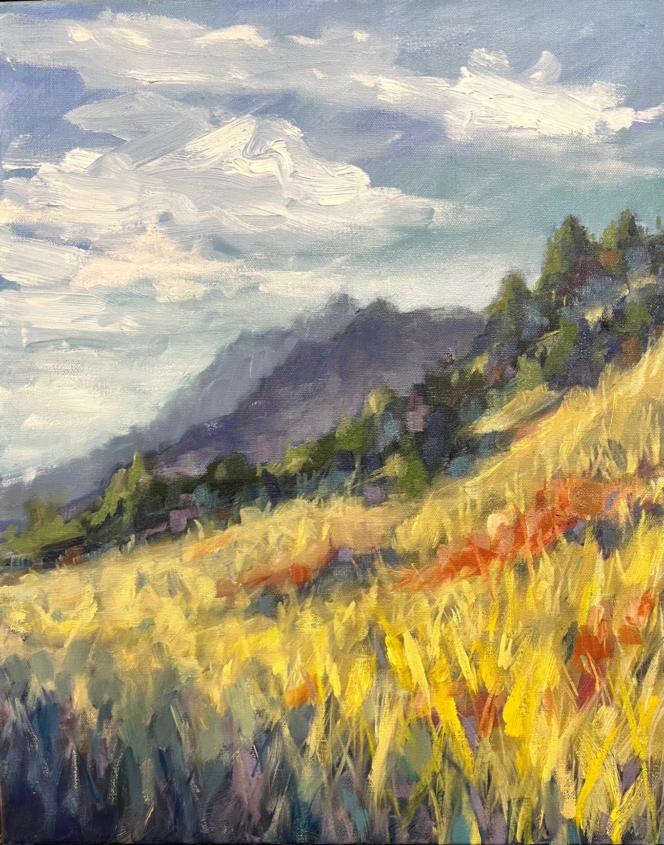 Sanitas Valley