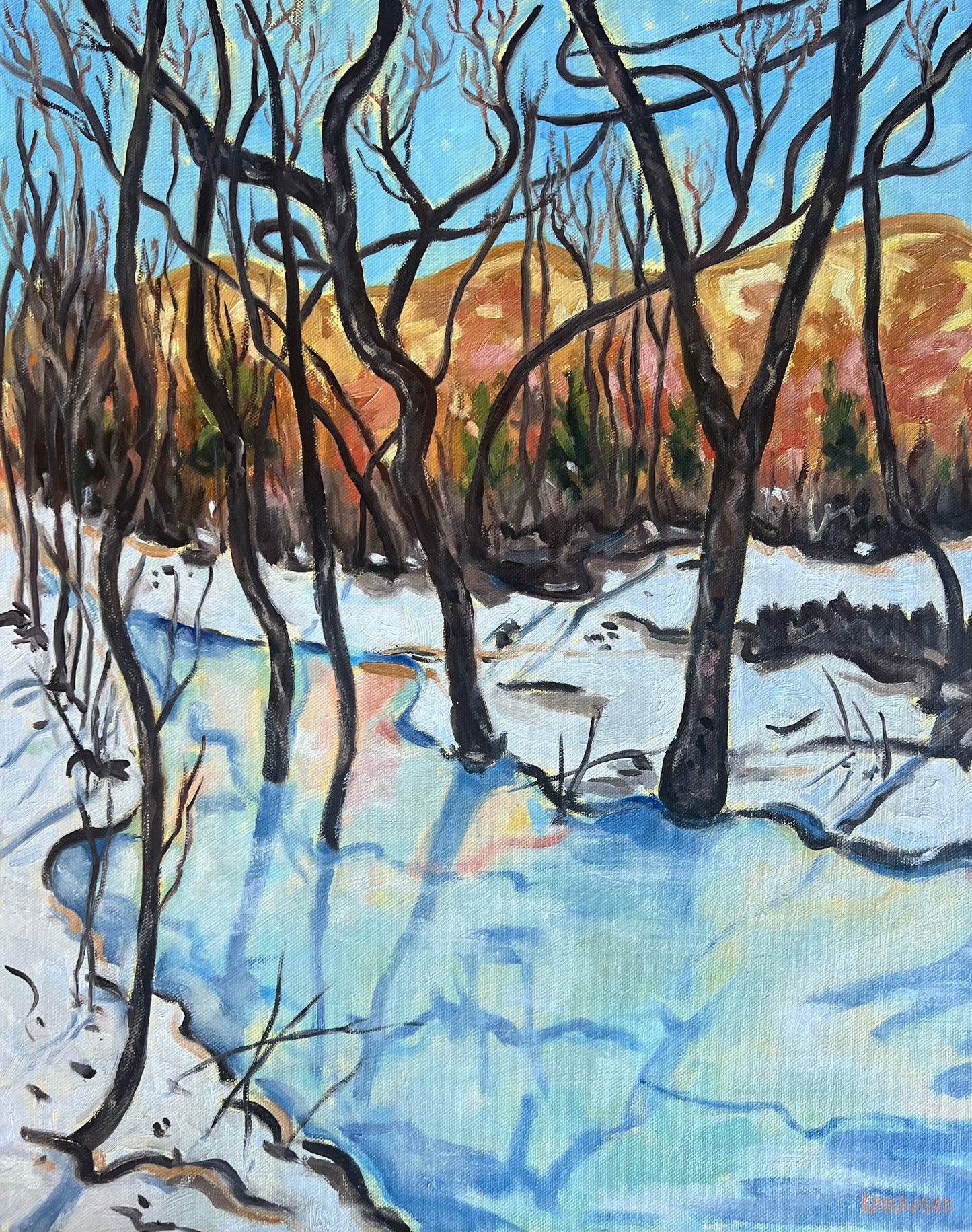 Ice Is Like A Jewel (Bear Creek)