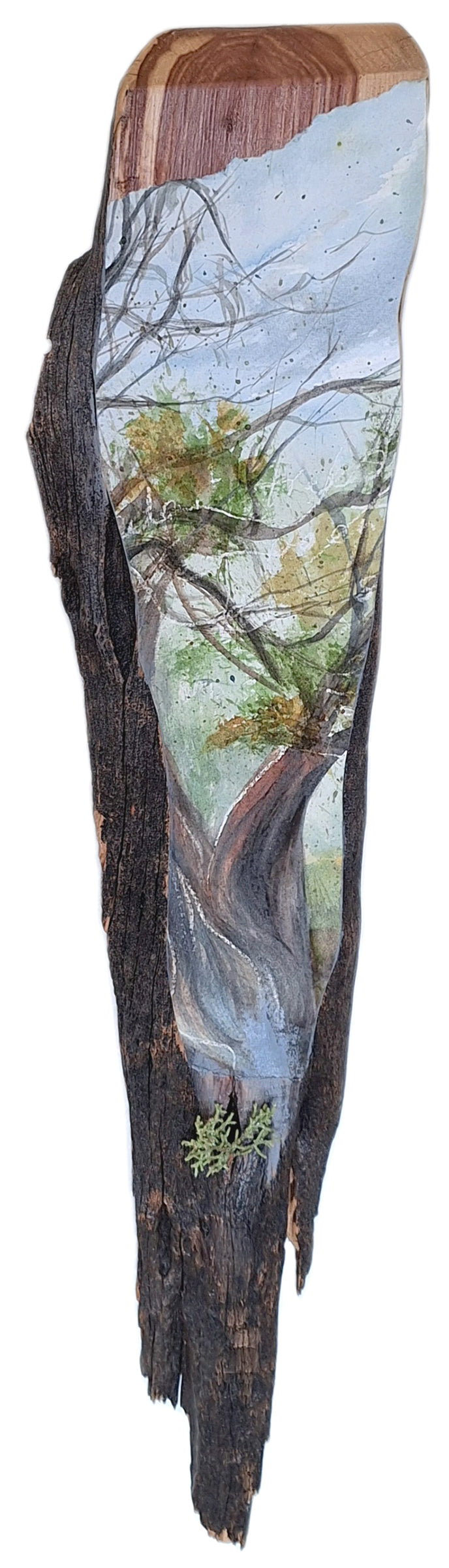 Last Living Branches