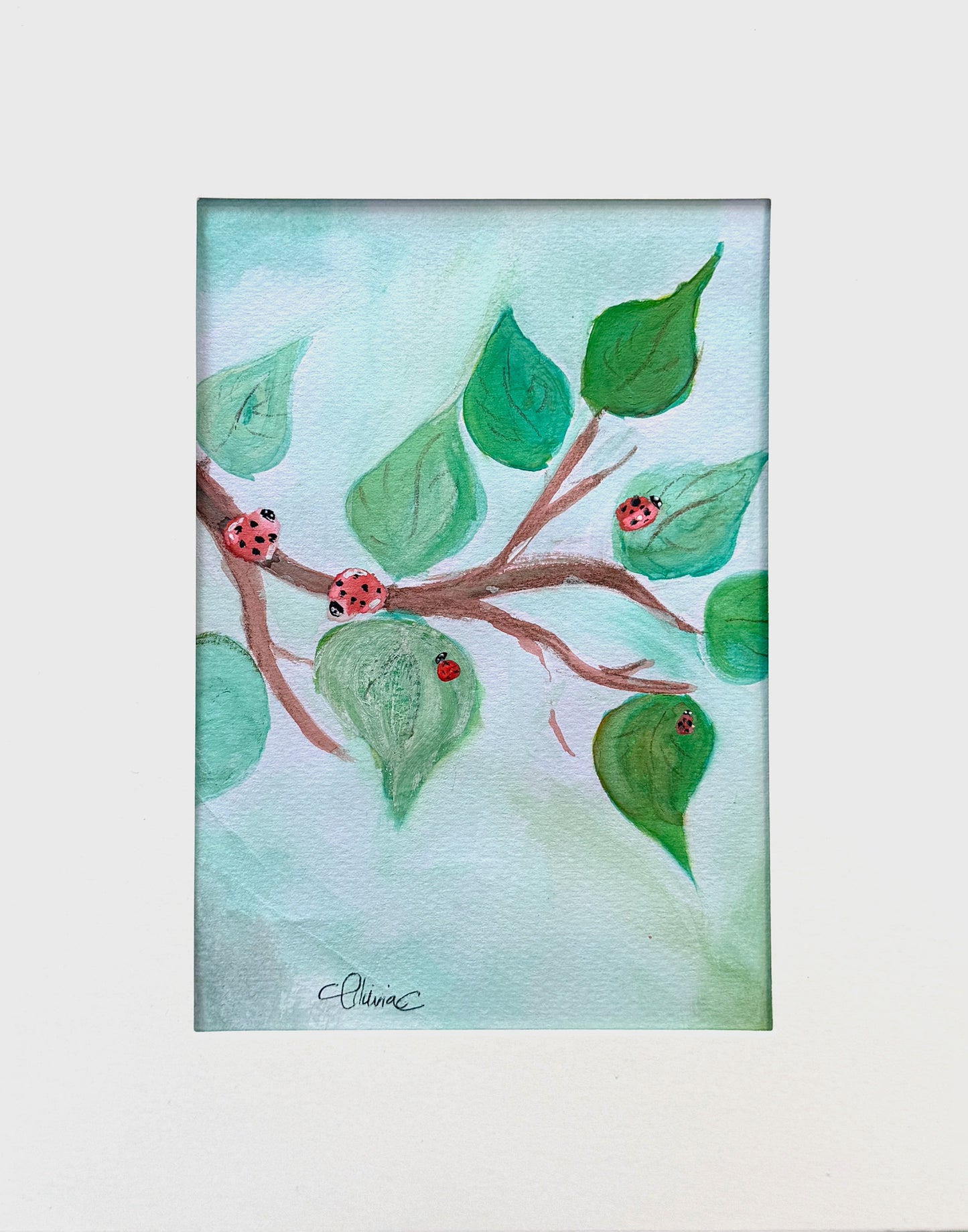Ladybugs