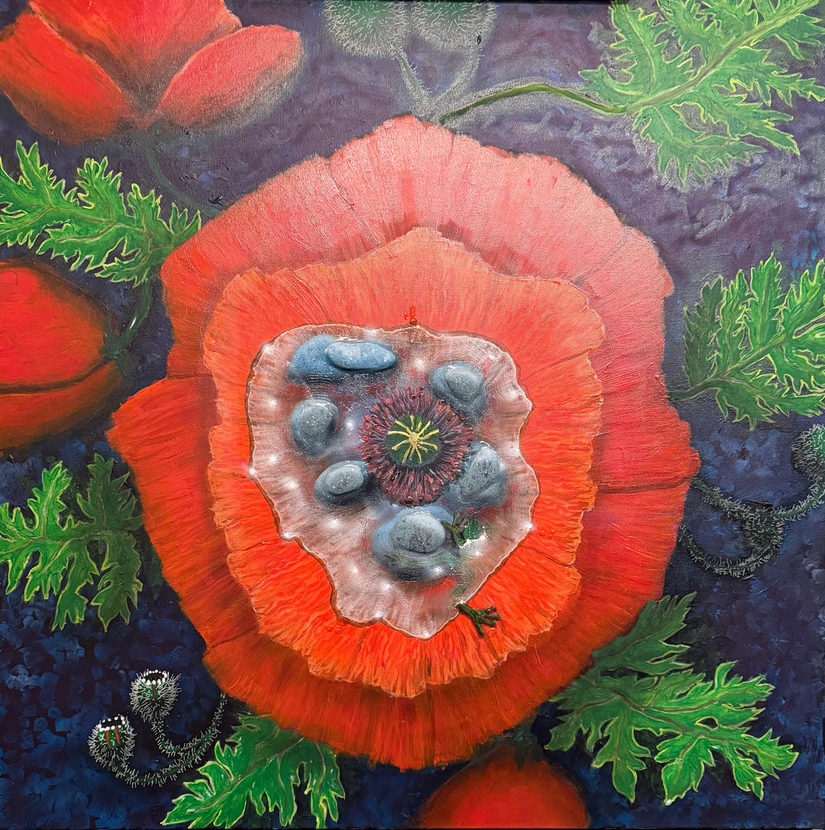 Poppy Pond