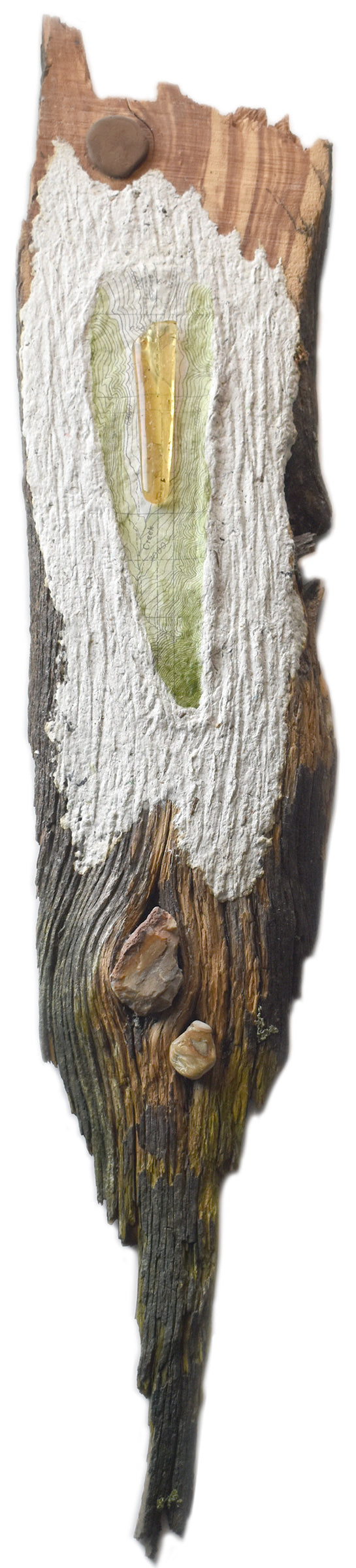 Rock~Paper~Tree I
