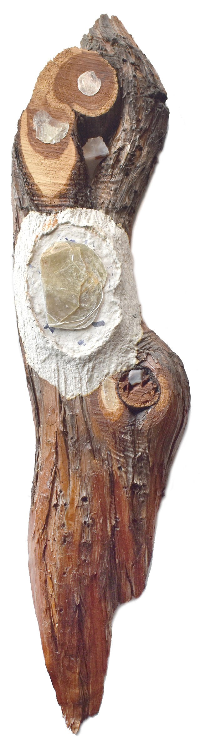 Rock~Paper~Tree II