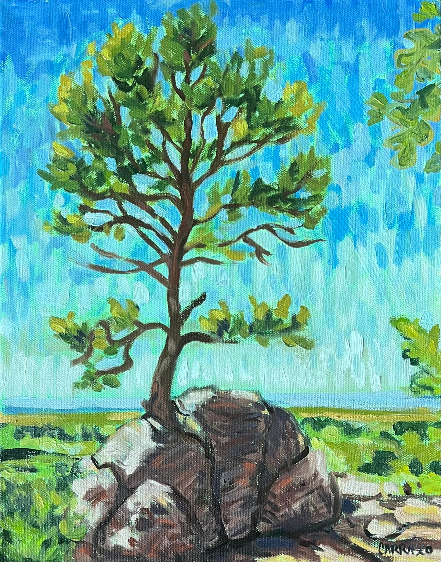 That Tree on Blackmer Loop