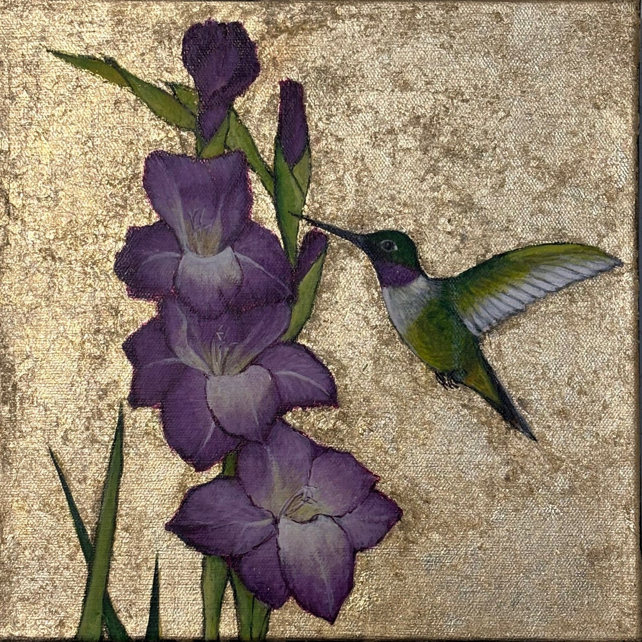 Purple Gladiolus and Hummingbird