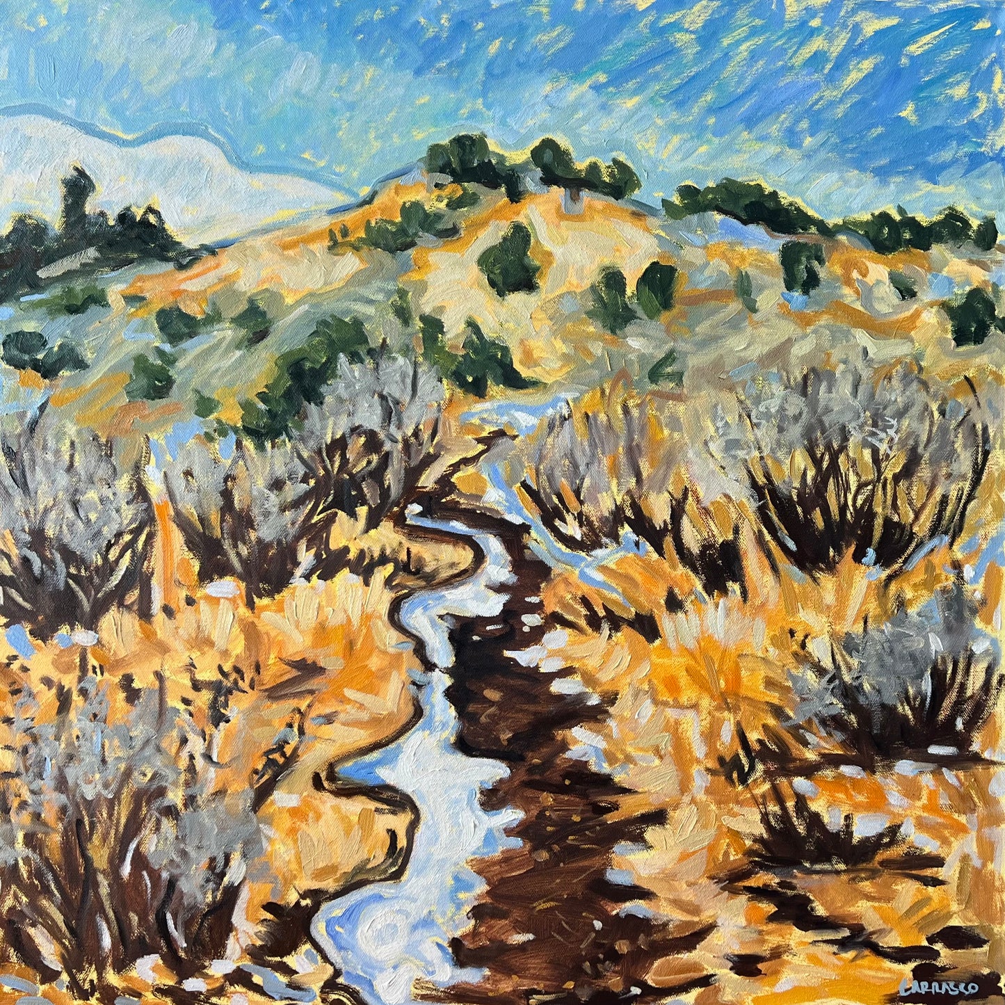 Western Loop In Winter