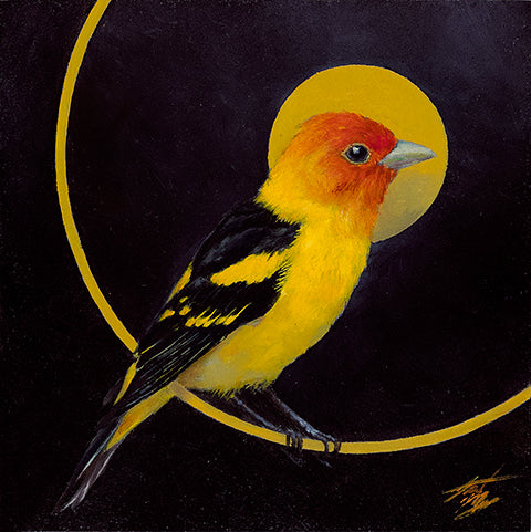 Western Tanager small print