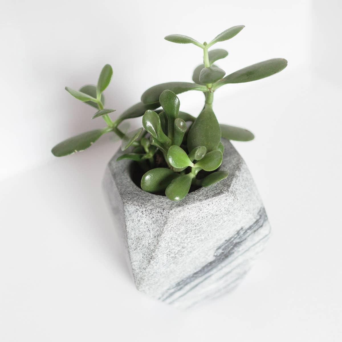 Acacia Creations - Geo Black Stone Planter