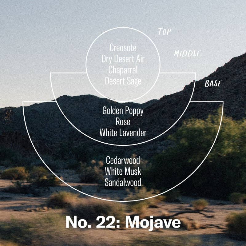 Mojave - 7.2 oz Soy Candle- P.F. Candle Co.