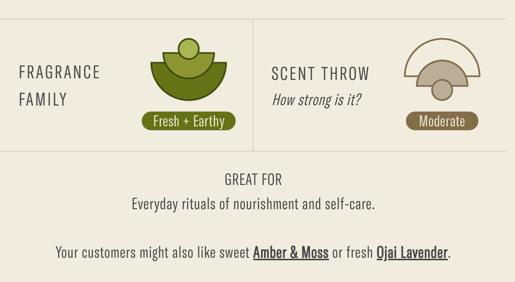 P.F. Candle Co. - Wild Herb Tonic - 7.2 oz Standard Soy Candle