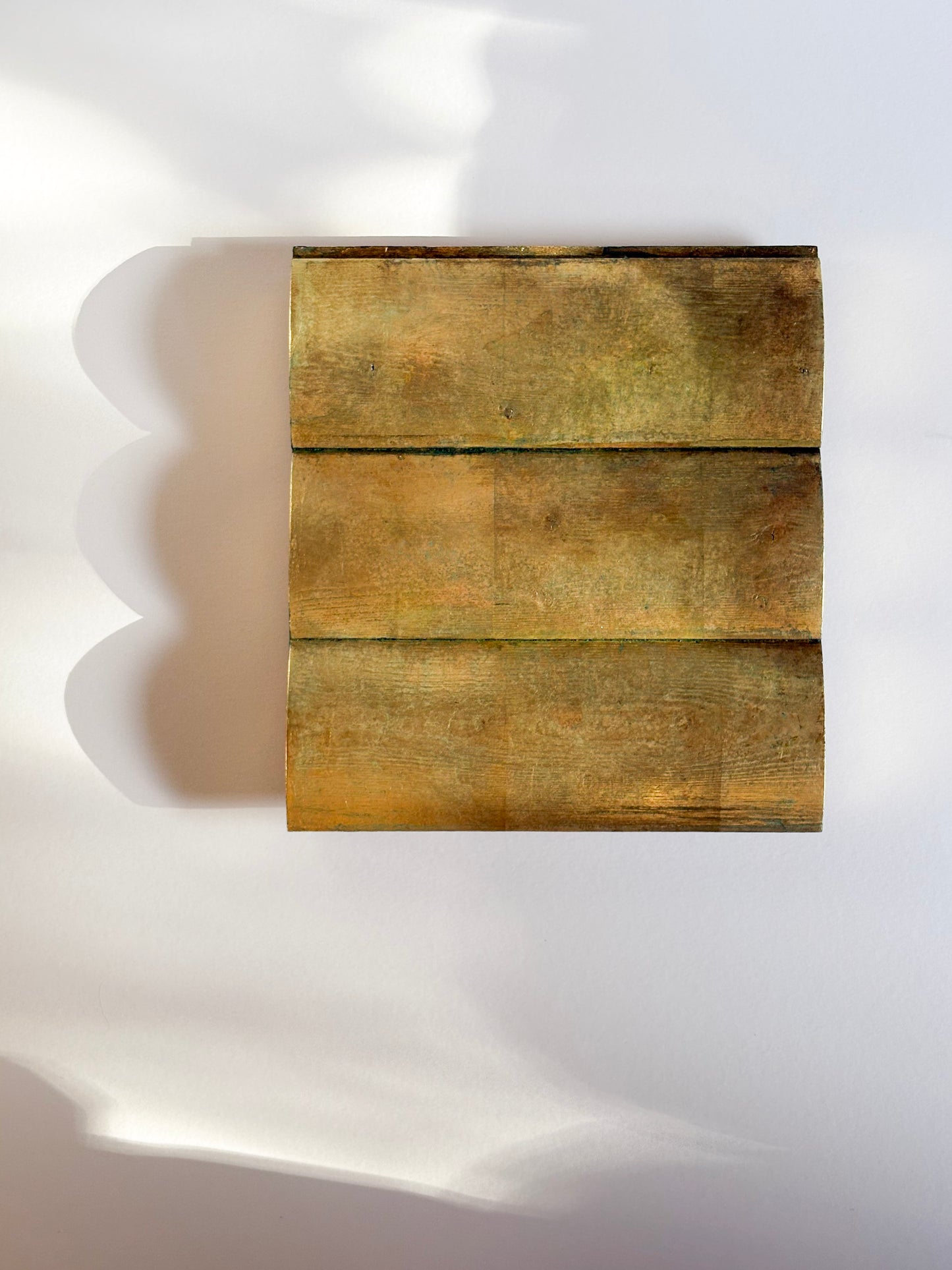 portrait of a home