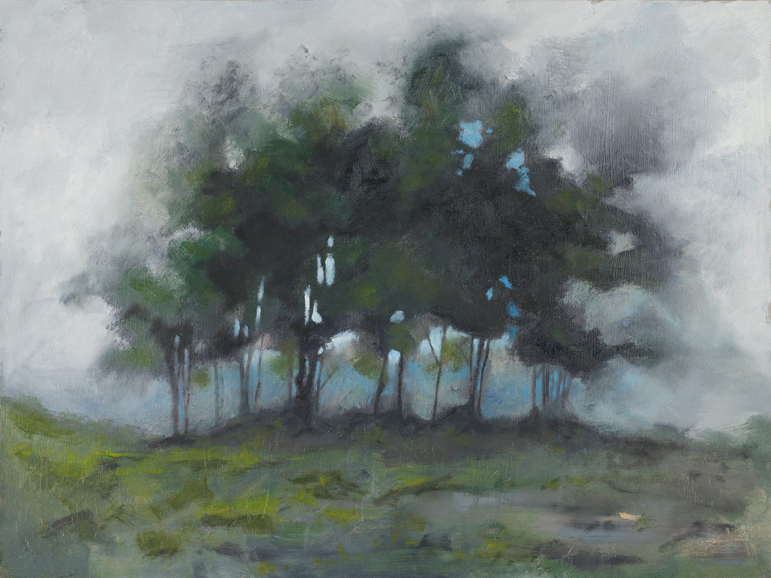 Dave Hamann: Nature: an Auspicious Aesthetic