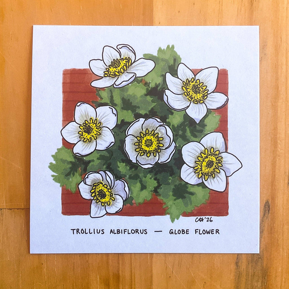 Doodled By Carrie - Colorado Flora Doodlegram Pack