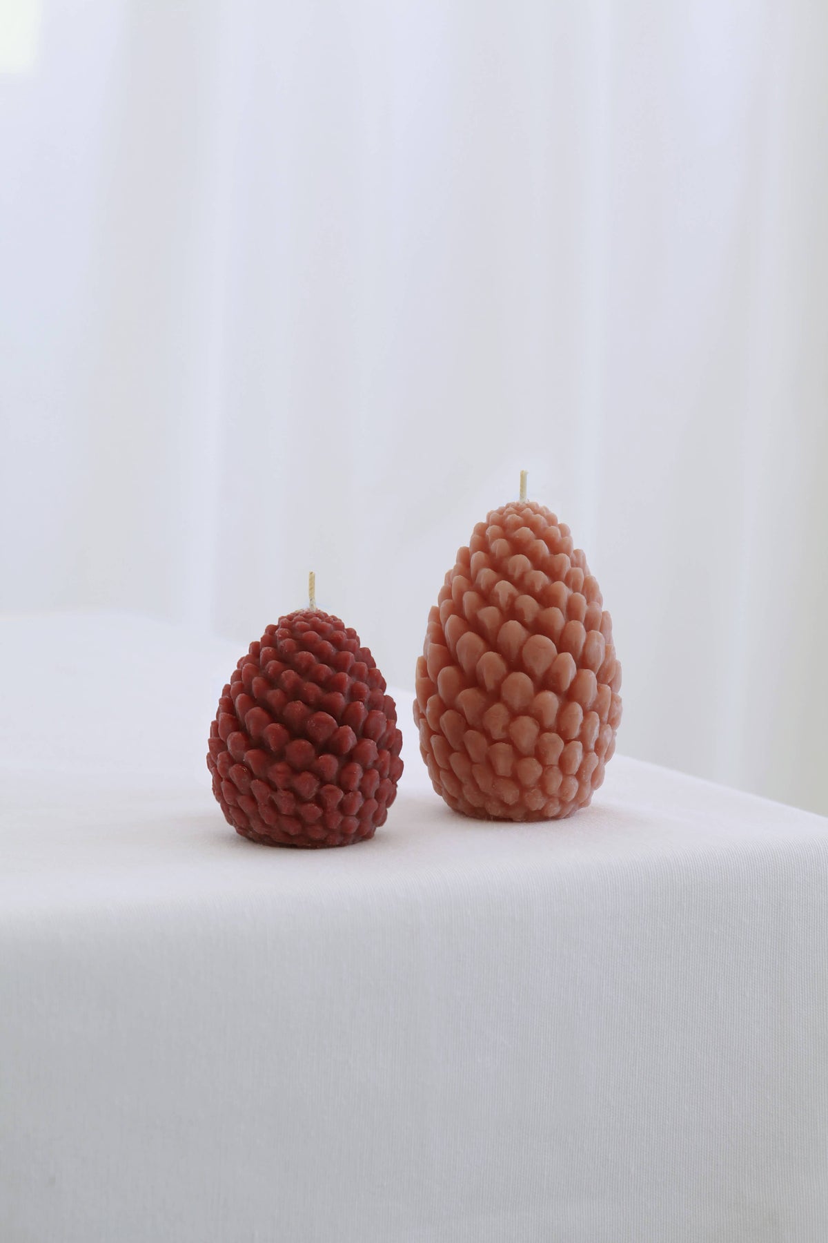 Mo&Co Home - Mo&Co Home Exclusive: Sculpted Beeswax Pine Cones Large