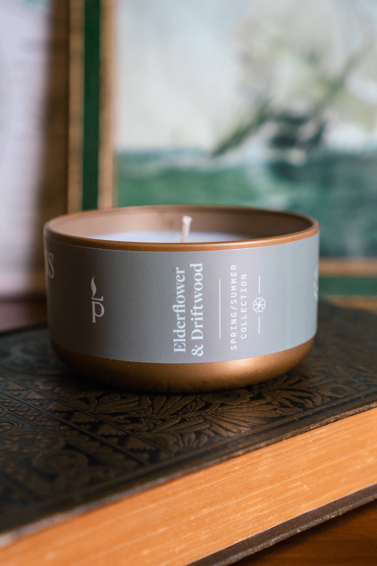 Light Provisions - 4.75 oz Elderflower & Driftwood