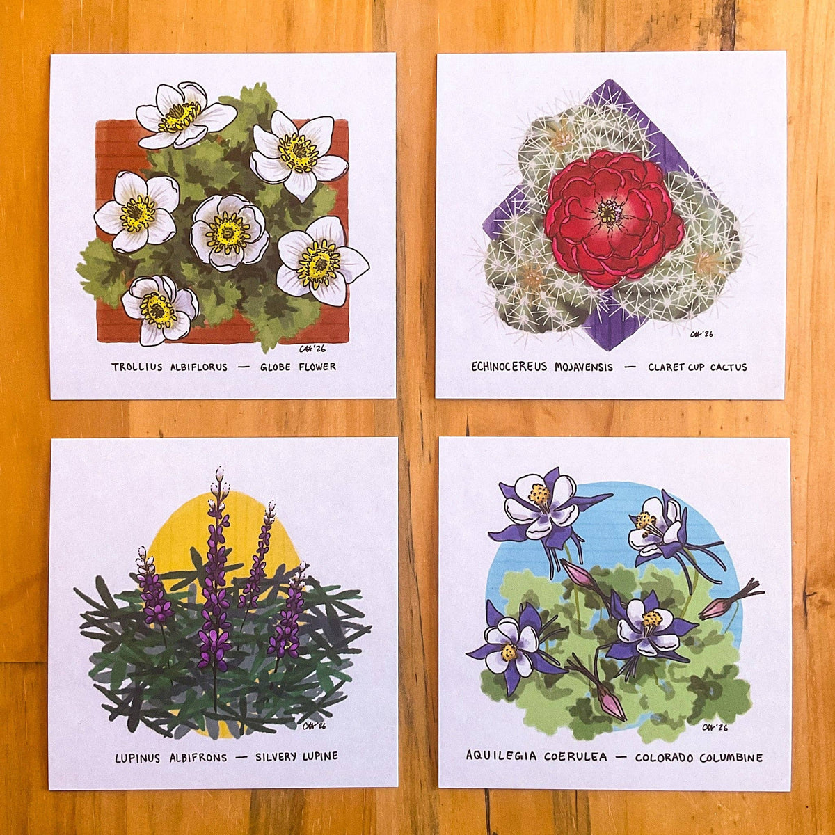 Doodled By Carrie - Colorado Flora Doodlegram Pack