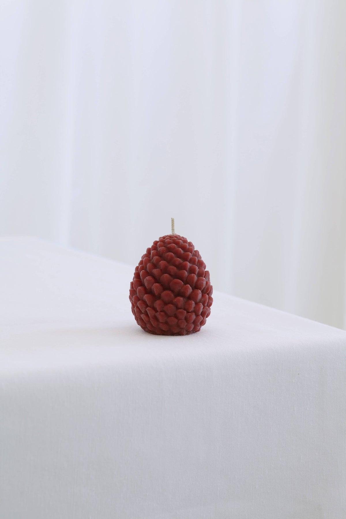 Mo&Co Home - Mo&Co Home Exclusive: Sculpted Beeswax Pine Cones Large