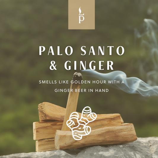 Light Provisions - 9.5 oz Palo Santo & Ginger