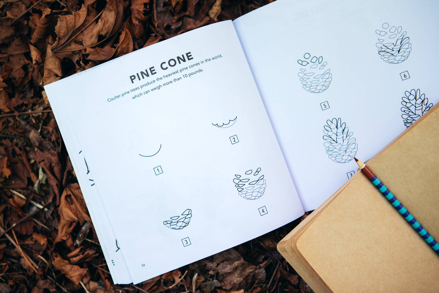 Paige Tate & Co. - Fall Things: How to Draw Books for Kids with Pumpkins, Scarecrows, Turkeys and More