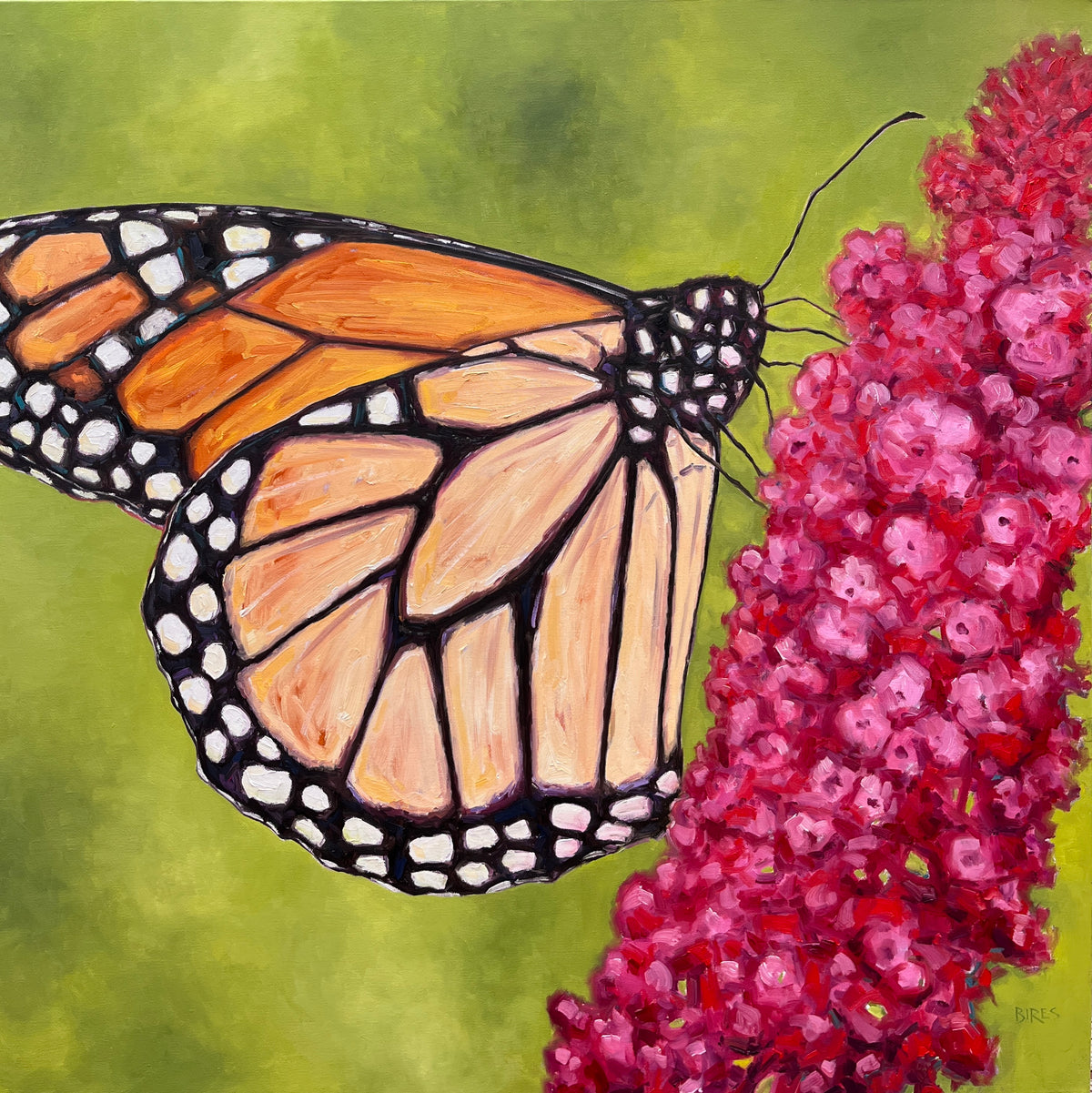 Metamorphosis