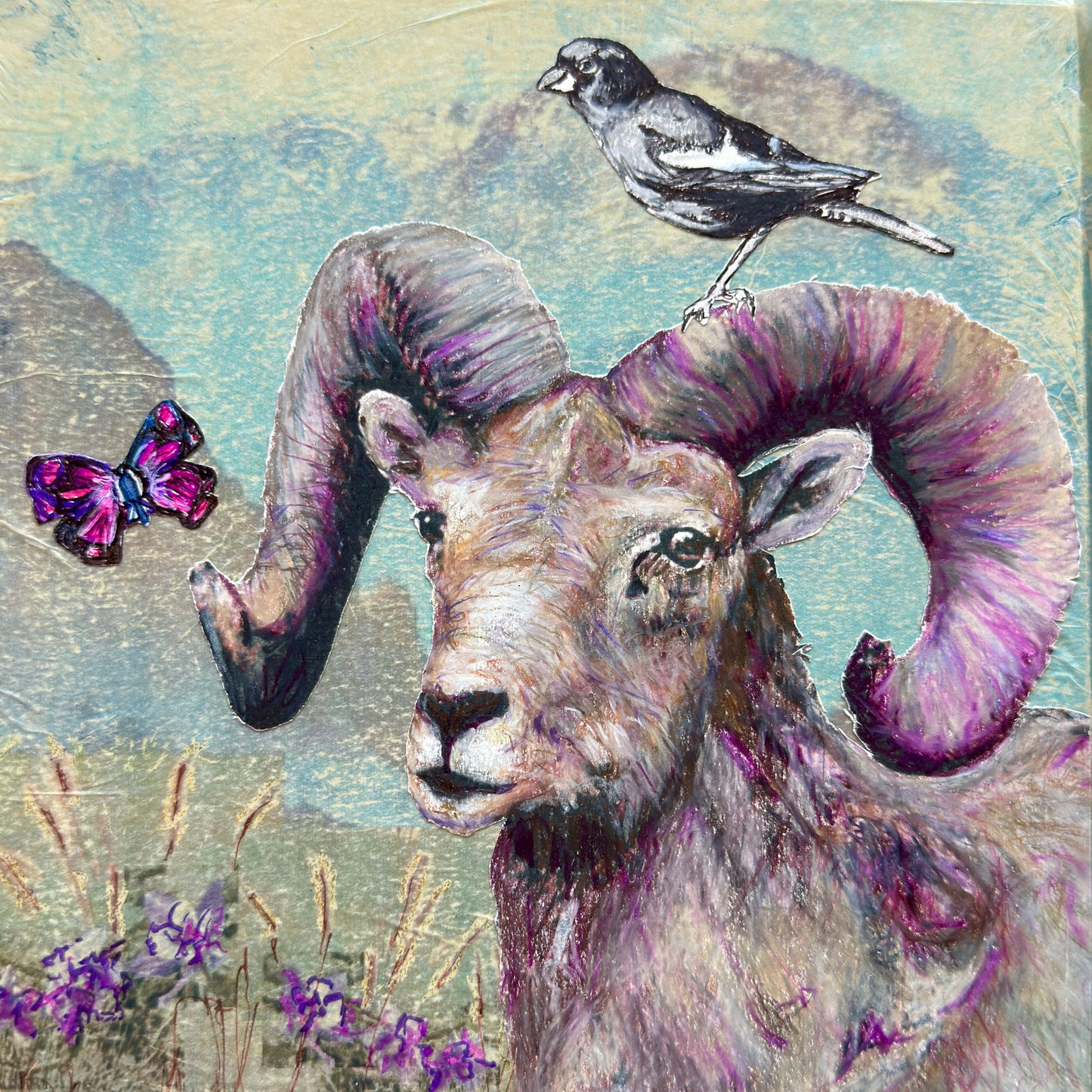 Colorful Colorado Cognition Test: sheep, bird, butterfly, flower, grass
