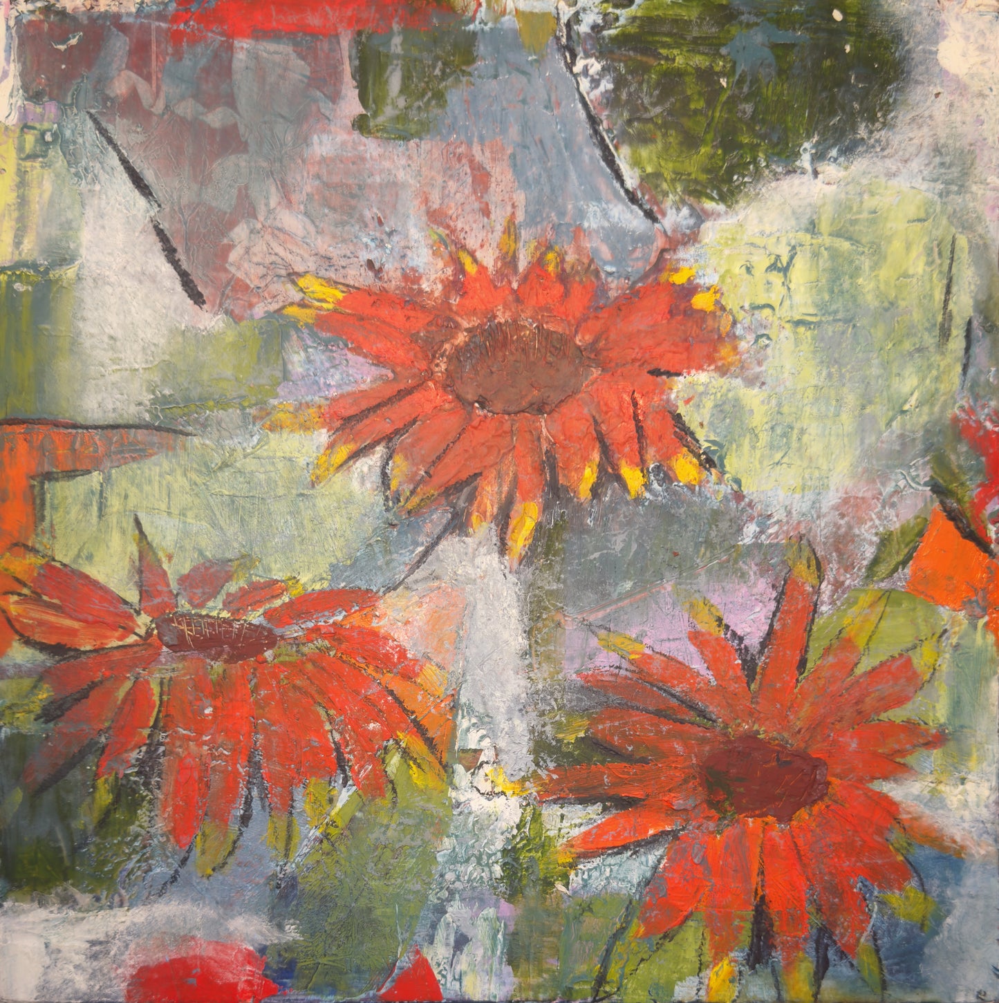Gaillardia