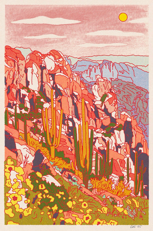 Desert Spring Framed Print - Caroline Clark