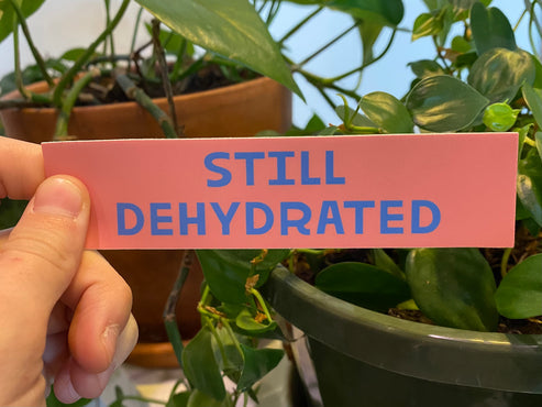 Still Dehydrated Sticker - Caroline Clark