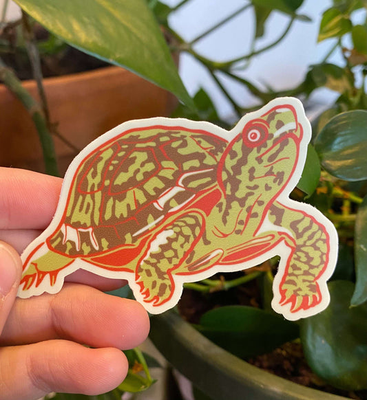Turtle Sticker - Caroline Clark