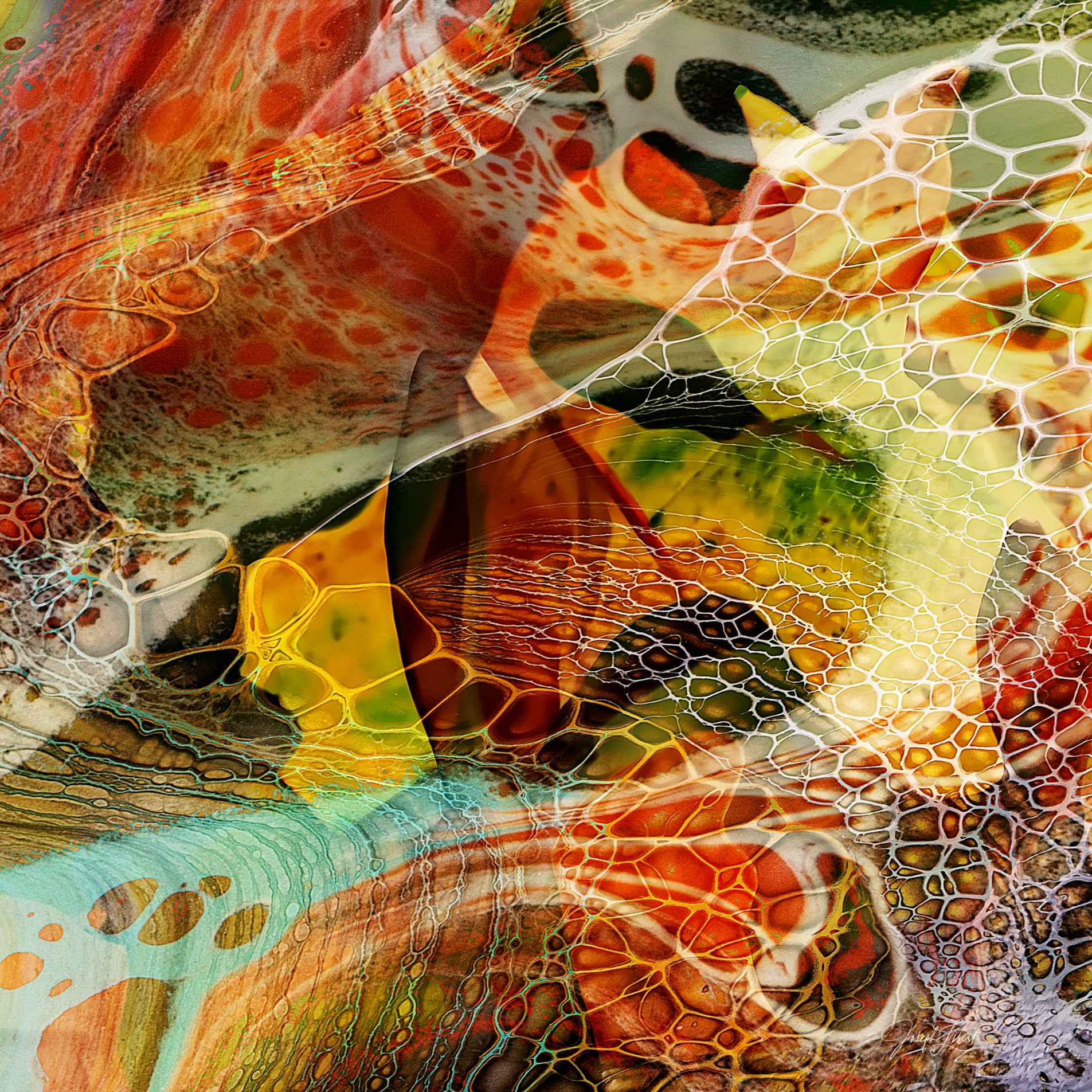 In the Leaves – SURFACE gallery