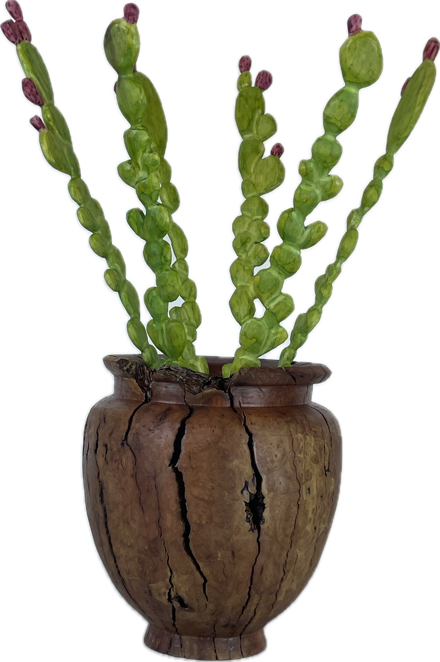 Prickly Pear in Manzanita Root Vase