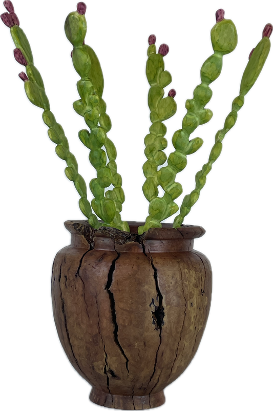 Prickly Pear in Manzanita Root Vase