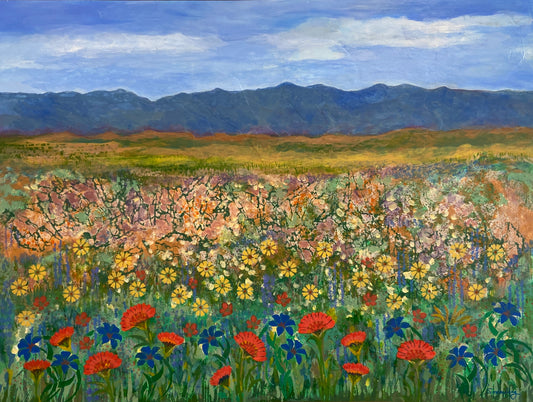 Mountain Meadow