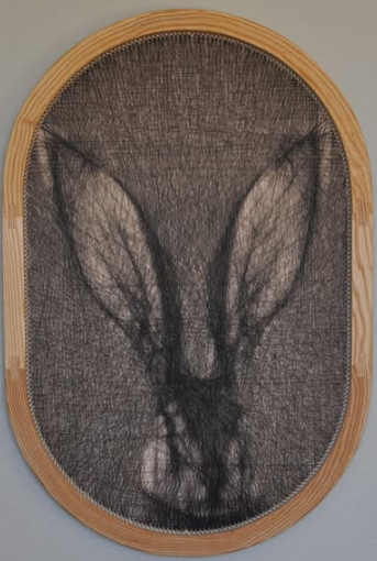 Antelope Jackrabbit