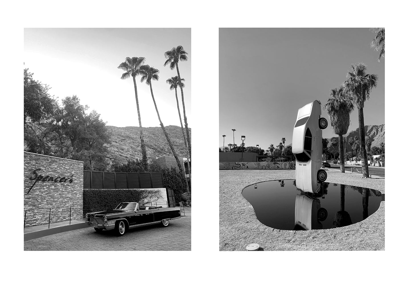 Untitled, Diptych, Palm Springs, 2021 edition 1/2