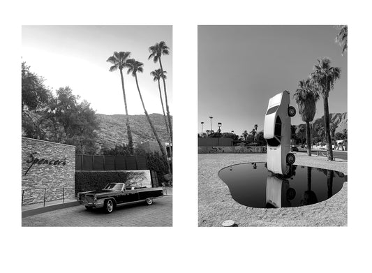 Untitled, Diptych, Palm Springs, 2021 edition 1/2