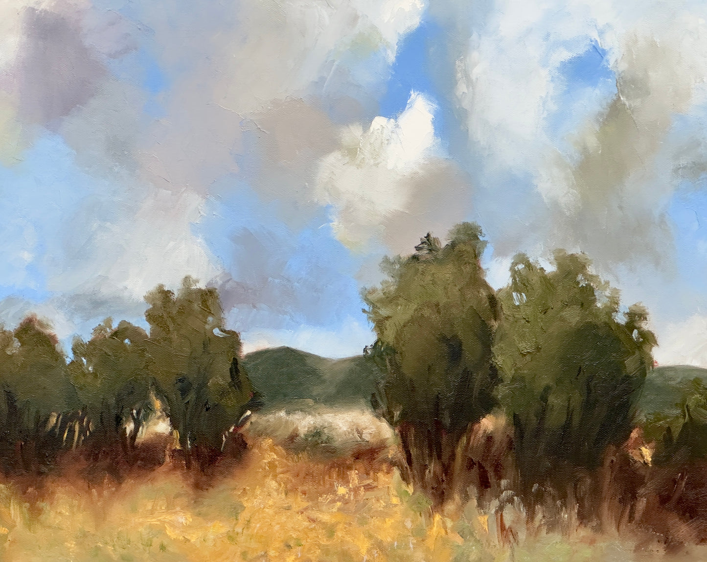 Scrub and Foothills