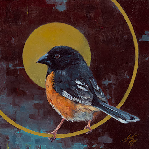 Spotted Towhee small print