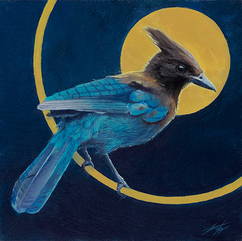 Stellar's Jay small print