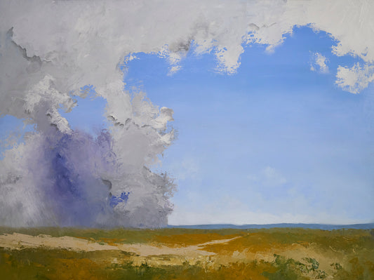 Summer Prairie